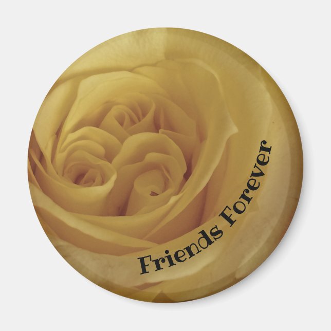 Friend Forever Freundschaft Gelbes Rose Foto Blume Magnet (Vorne)