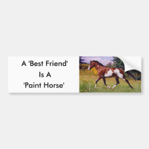 Friend Paint Horse Autoaufkleber