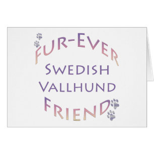 Friend suédois Vallhund Furever