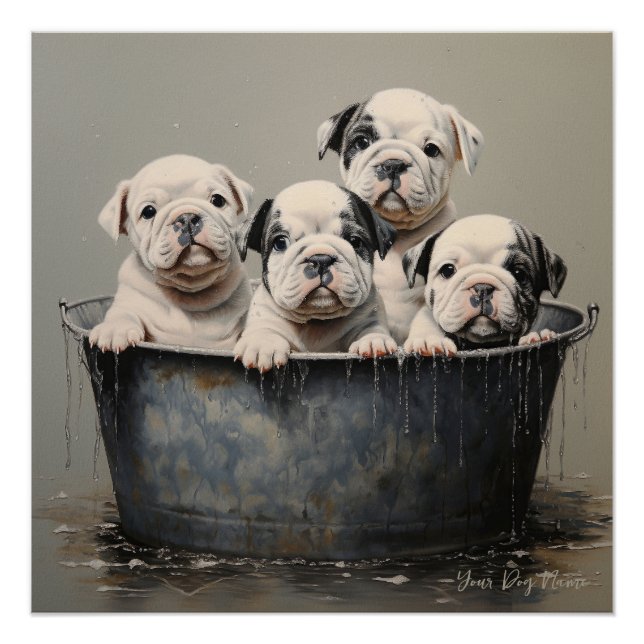 Friendly Bulldog Puppy Dogs 001 - Raimon Paladino Poster (Vorderseite)