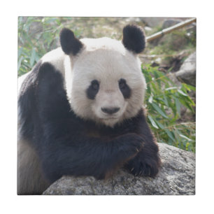 Friendly Giant Panda Fliese