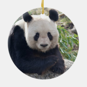 Friendly Giant Panda Keramikornament