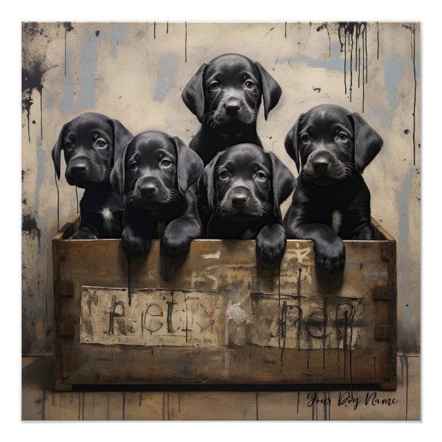 Friendly Labrador Retriever Puppy Dogs 003 - Raim Poster (Vorderseite)