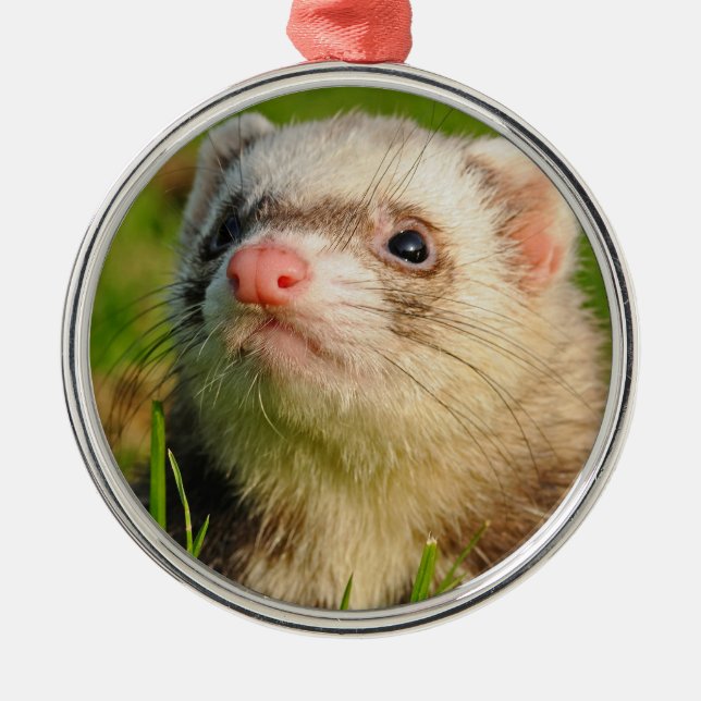 Friendly Pet Ferret Ornament Aus Metall (Vorne)