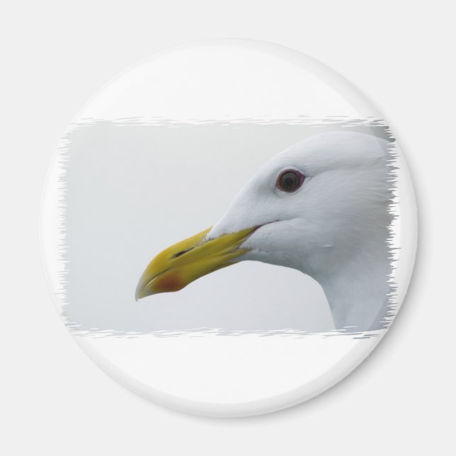 Friendly Seagull? Magnet (Vorne)