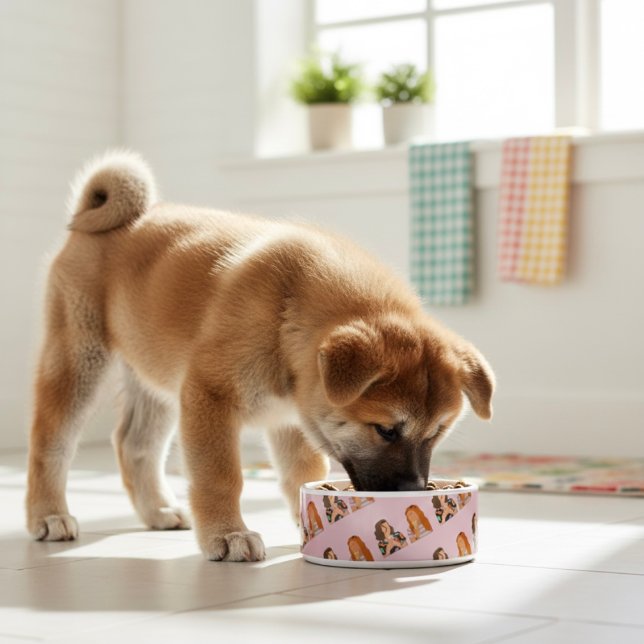 Friends Bowl Napf (Von Creator hochgeladen)