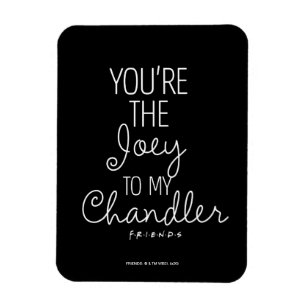 FRIENDS™   Du bist die Joey zu meinem Chandler Magnet