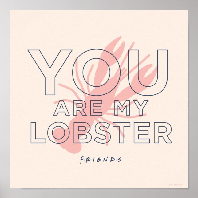 FRIENDS™ | Du bist mein Hummer Poster (Vorne)