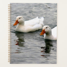 Friends For Life Planer