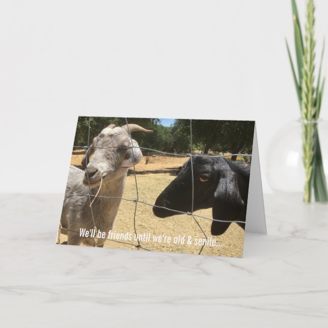 Friends Forever Albern Card Karte (Vorderseite)