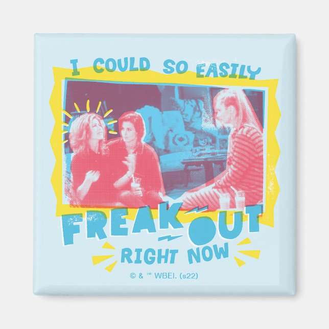 FRIENDS™ | I Could So Easily Freak Out Right Now Magnet (Vorne)