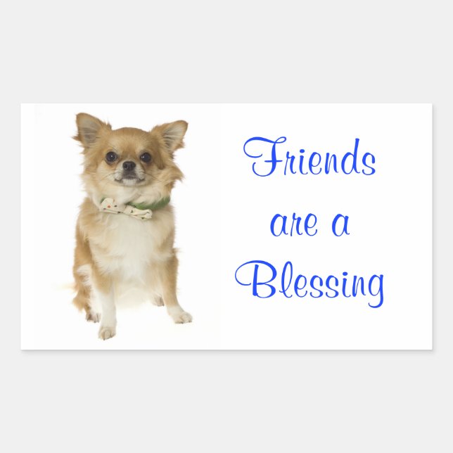 Friends Long Hairs Chihuahua Grußsticker Rechteckiger Aufkleber (Vorderseite)
