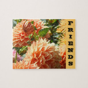 FRIENDS-Rätsel Orange Dahlia Blume Blumenkohl