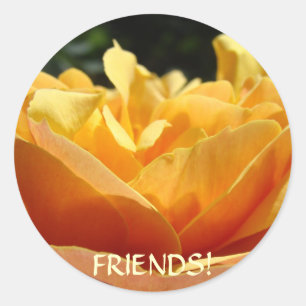FRIENDS Rose Blume STICKERS Freundschaftsgeschenke