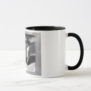 Friendship Above all Tasse