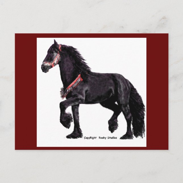 Friesian Dance Postcards Postkarte (Vorderseite)