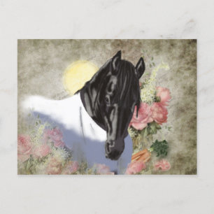 Friesian DIAMOND - Carte postale