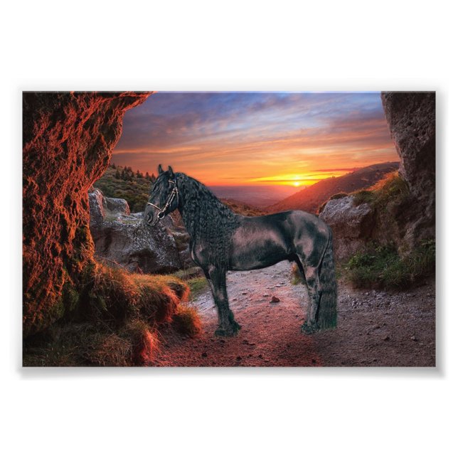 Friesian DIAMOND - Foto Print (Vorne)