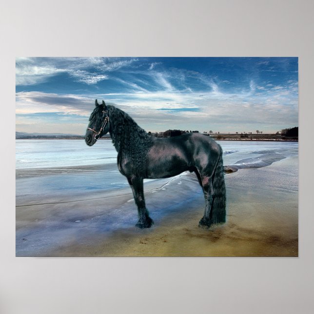 Friesian DIAMOND III - Poster (Vorne)