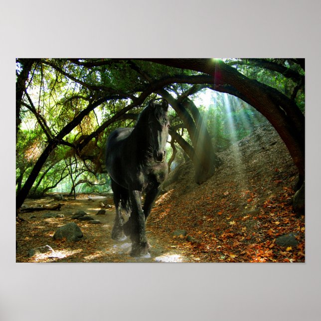 Friesian DIAMOND IV - Poster (Vorne)