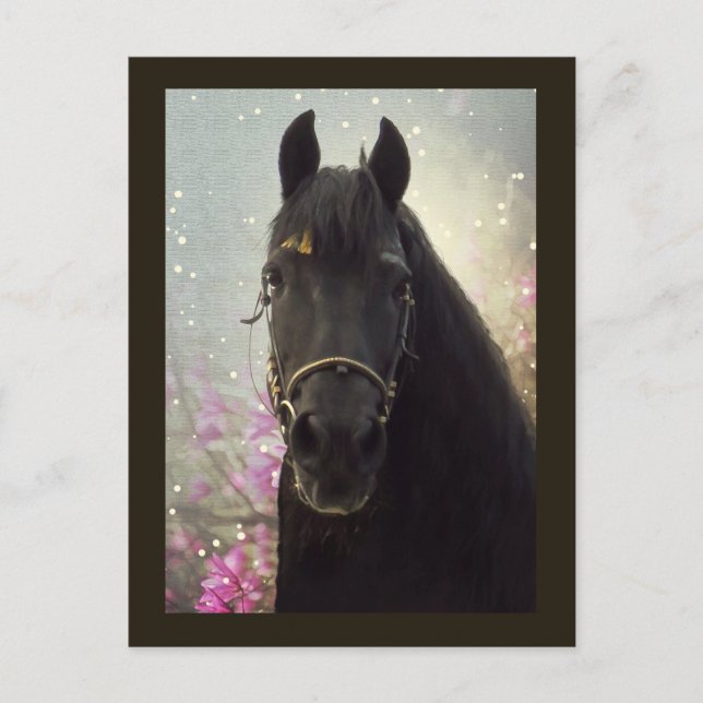 Friesian DIAMOND - Postcard Postkarte (Vorderseite)