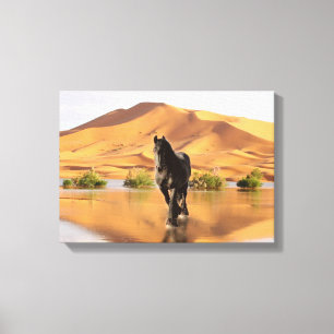 Friesian DIAMOND V - Wrapped Canvas Leinwanddruck