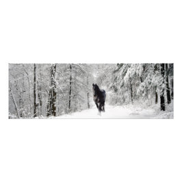 Friesian DIAMOND VII - Impression photo