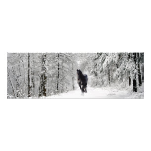 Friesian DIAMOND VII - Impression photo