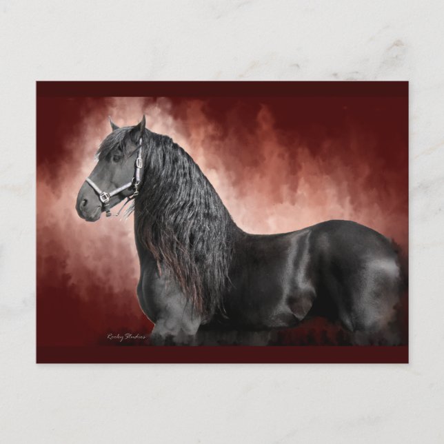 Friesian Fire Postkarte (Vorderseite)