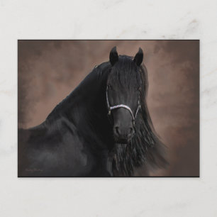 Friesian Flair Postkarte