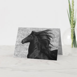 Friesian Flying Horse Greeting Card Karte