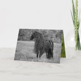 Friesian Horoks Looks - Horse Grußkarte Karte