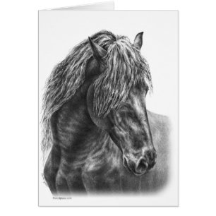 Friesian Horse Portrait Drawing par Kelli Swan