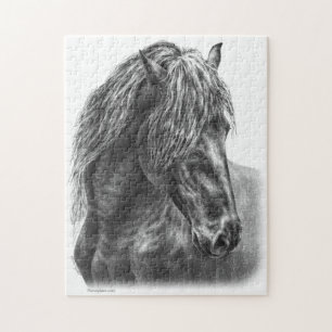 Friesian Horse Portrait Wavy Mane