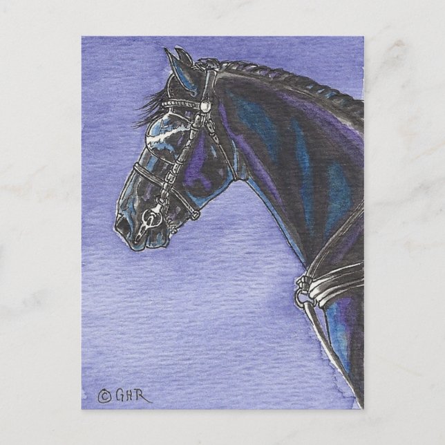 Friesian Horse Postcard Postkarte (Vorderseite)