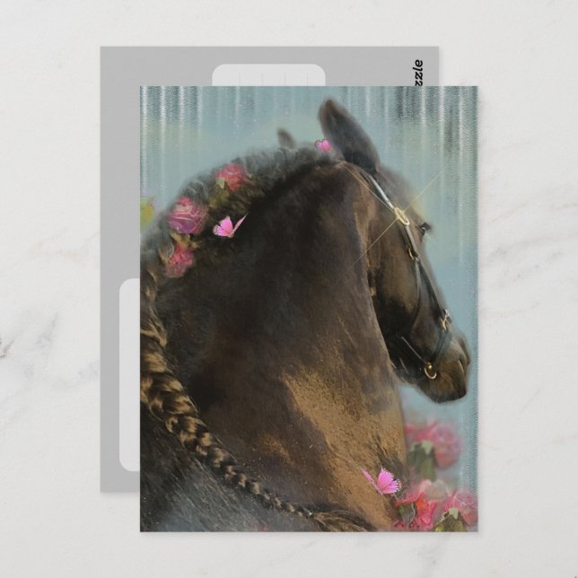 Friesian Horse - Postcard Postkarte (Vorne/Hinten)