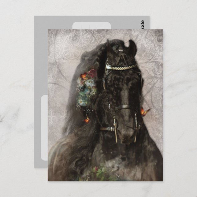 Friesian Horse - Postcard Postkarte (Vorne/Hinten)