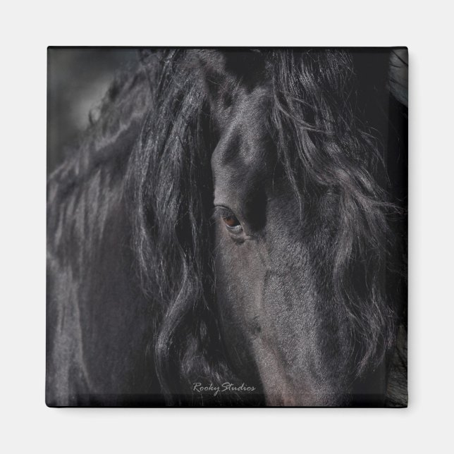 Friesian Image Magnet (Vorne)