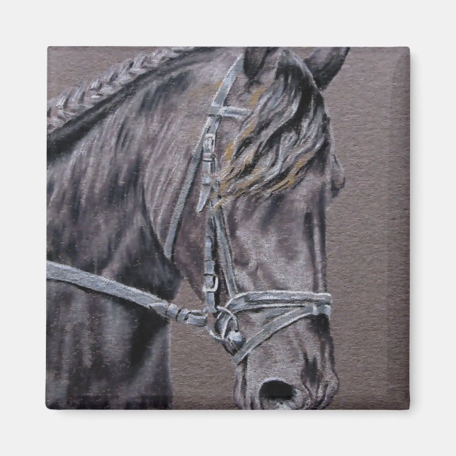 Friesian Magnet (Vorne)