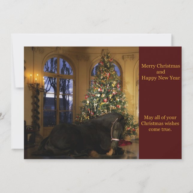 Friesian Mare Christmas Card Feiertagskarte (Vorderseite)