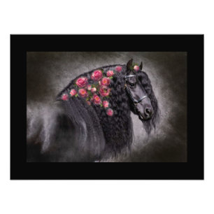 Friesian Portrait - Poster