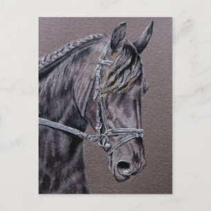 Friesian Postkarte
