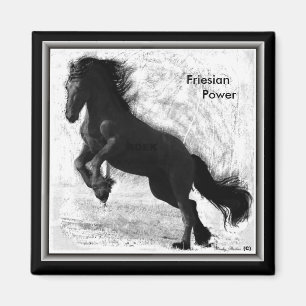 Friesian Power Magnet 2