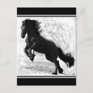 Friesian Power Postcard, benutzerdefinierbar Postkarte