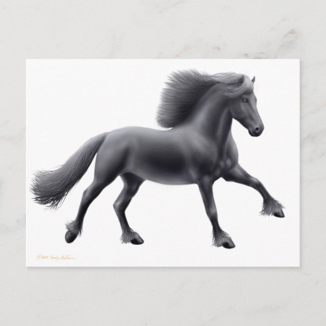 Friesian Running Free Postcard Postkarte (Vorderseite)