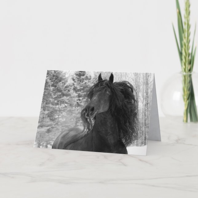Friesian Runs in the Snow II Horse Greeting Card Karte (Vorderseite)