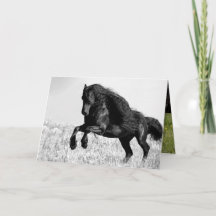 Friesian Stallion Leaps - Horst Grußkarte