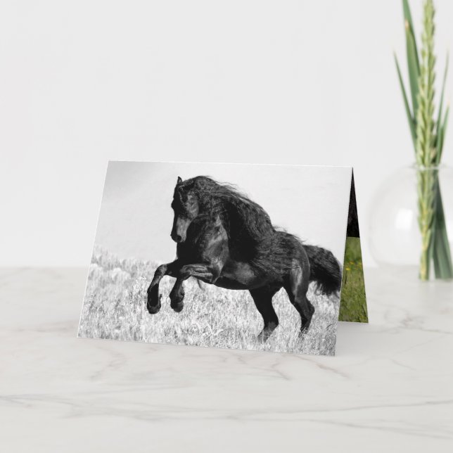 Friesian Stallion Leaps - Horst Grußkarte Karte (Vorderseite)