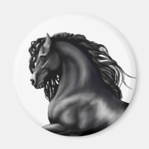 Friesian Stallion Magnet