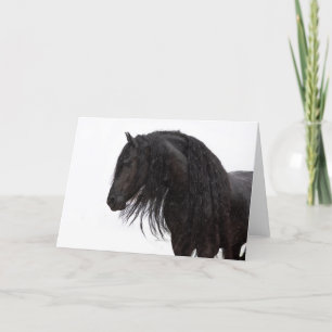 Friesian Stallions Holiday Card Feiertagskarte